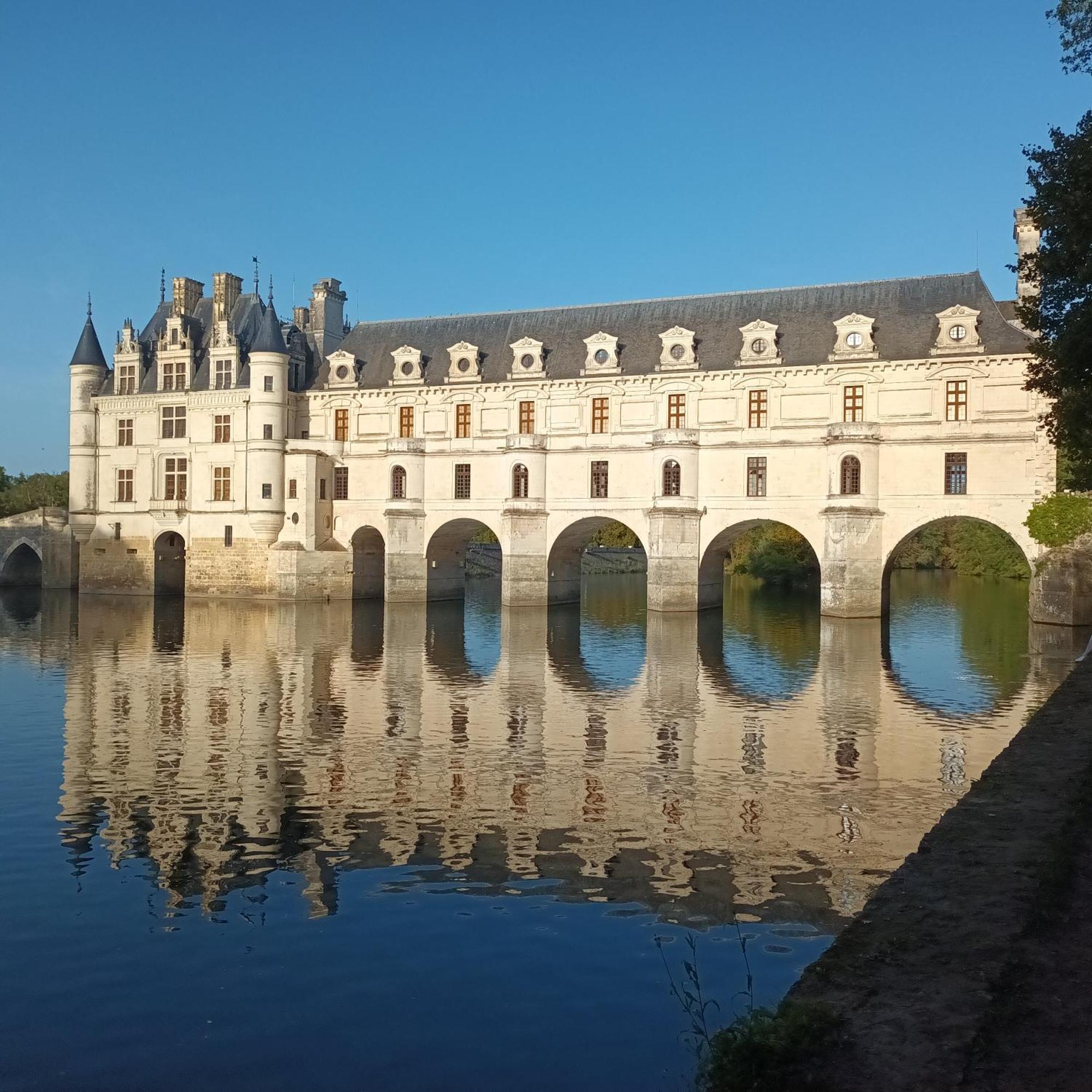 Au Nom Des Dames, Maison Et Table D'Hotes, Pres De Chenonceau Et Du Zoo De Beauval Faverolles-sur-Cher Dış mekan fotoğraf
